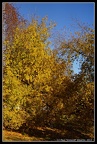 DSC07156