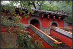 DSC02571