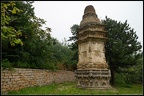 DSC08225