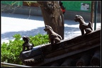 DSC00404