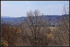 DSC00968