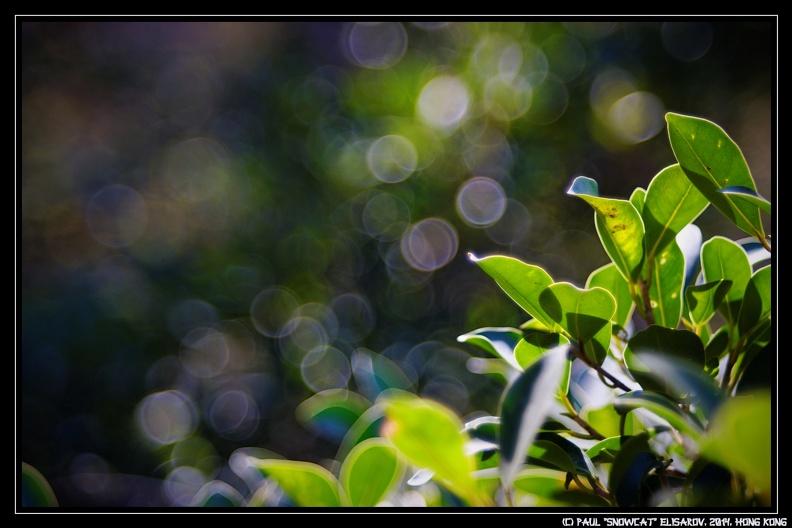 DSC00411