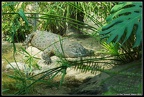 HongKong Wetlands park