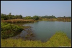 DSC00516