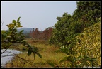 DSC00535