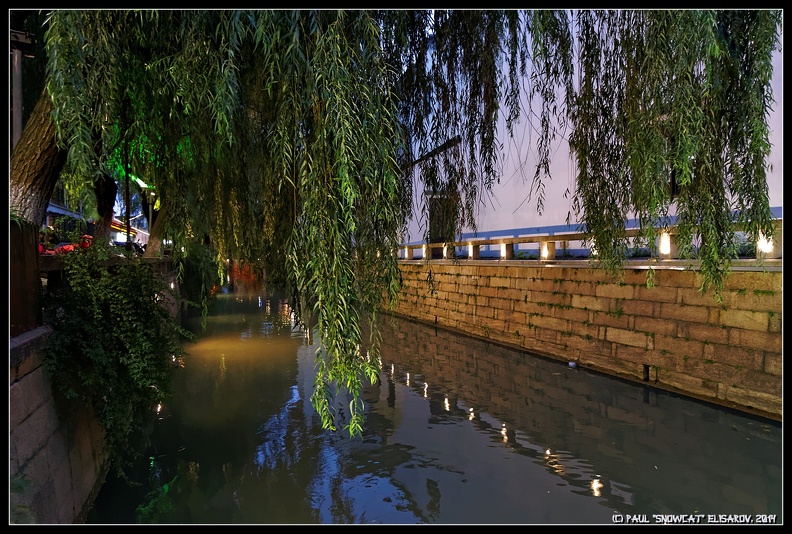 DSC04242.jpg