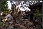 Lions forest 27