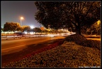 DSC03210