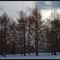 Cosinon 55 DSC06734