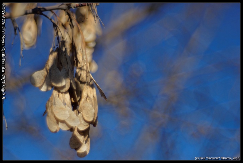 Photographic tests / Meyer Optik Trioplan 75/3.5 Photographic tests / Meyer Optik Trioplan 75/3.5