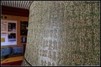 DSC01262