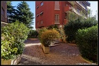 Italia, Rome