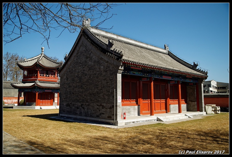 DSC07124_DxO.jpg
