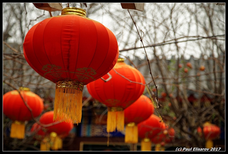 DSC07566_DxO.jpg