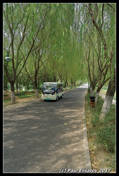 DSC01072_DxO.jpg