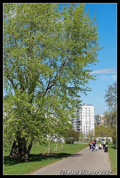 DSC08180.jpg