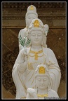 Tianjin Temples