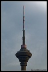 DSC 4142