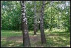 DSCF0037