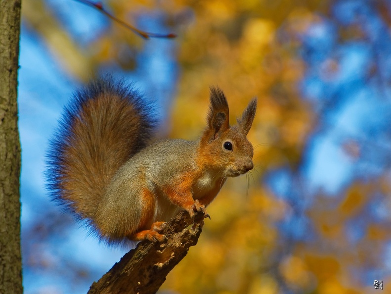 DSC_6554.jpg