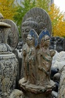 DSC 7079