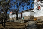 DSC 7895