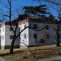 DSC 7902