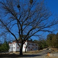 DSC 7918