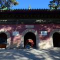 DSC 7928