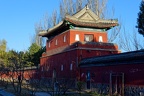 DSC 8004