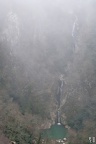 DSC 1921