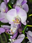 DSCF0151