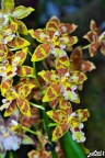 DSCF0175