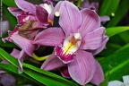 DSCF0217