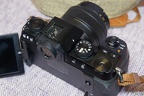 DSC 5415