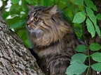DSC 5760 DxO