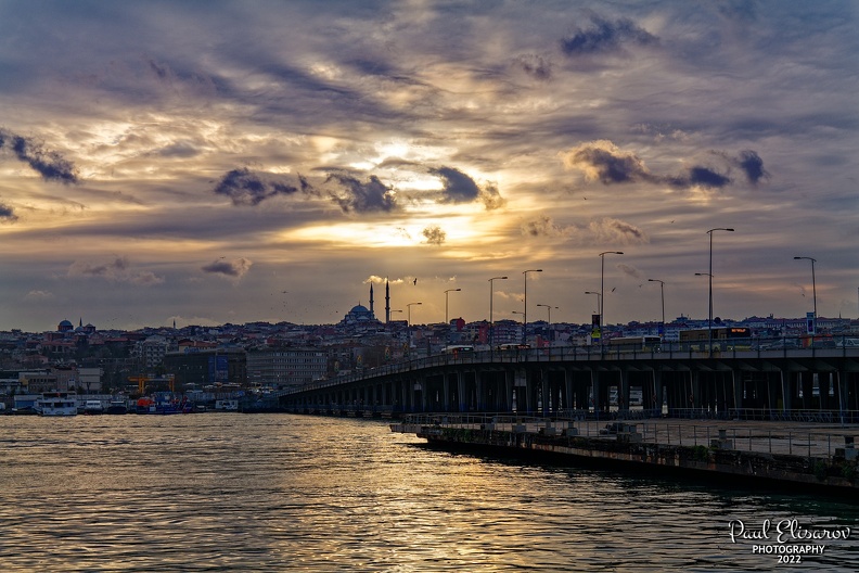 P1001126.jpg