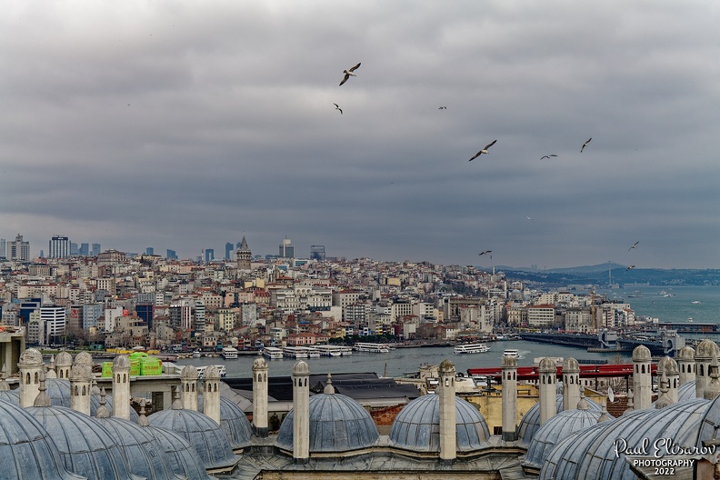 P1001589.jpg