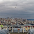P1001589