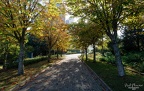 Turkey, Istanbul, Zezahat Botanical Garden