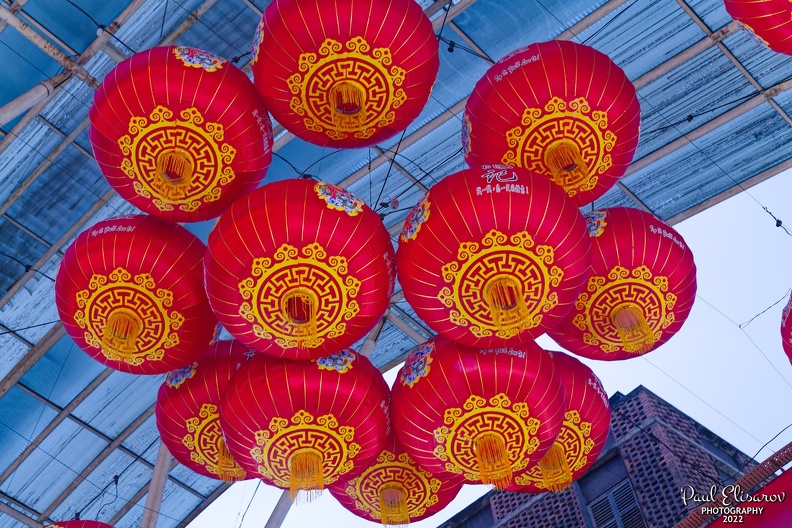 P1006490_DxO.jpg