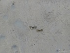 P1008592