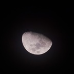 P1170135