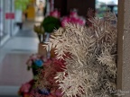 P1001095
