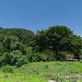 P1004261