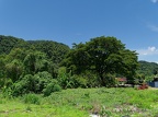 P1004261