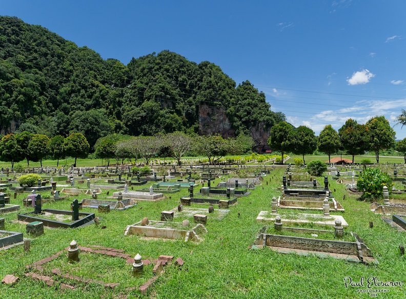 P1004263.jpg