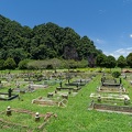 P1004263