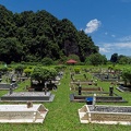 P1004264