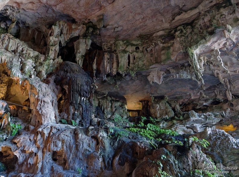 P1004284.jpg